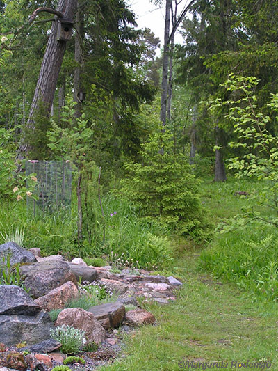 skogen